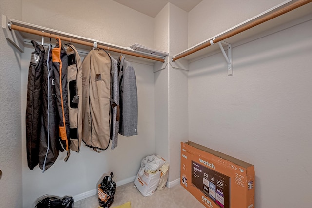 spacious closet featuring carpet