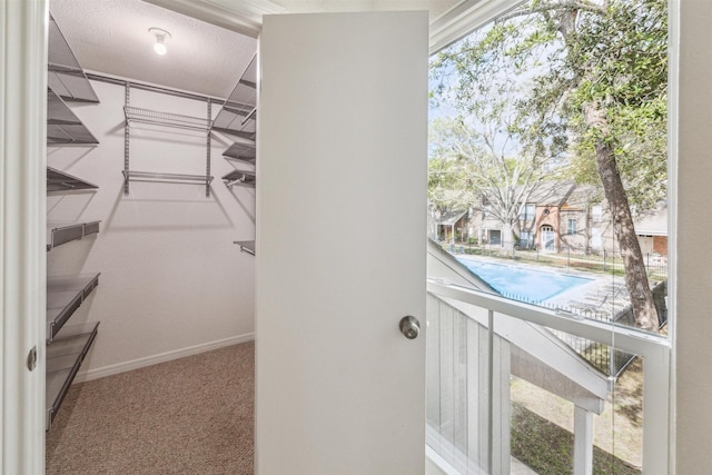 walk in closet with carpet