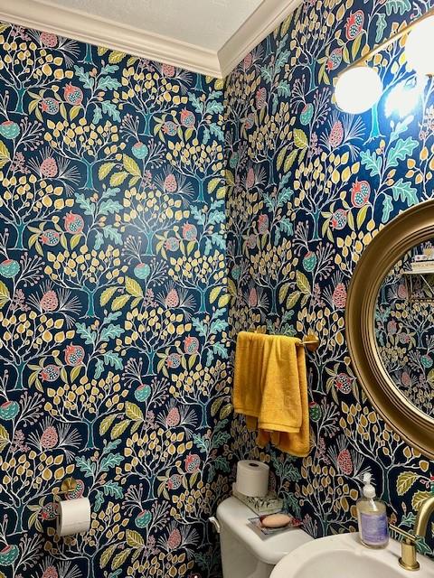 bathroom featuring sink, crown molding, and toilet