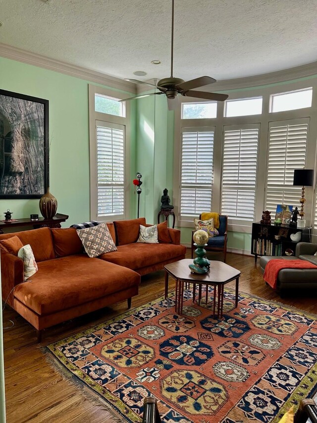 1515 Hyde Park Blvd Unit 1, Houston, TX 77006 - living room with a textured ceiling, crown molding, a ceiling fan, and wood finished floors