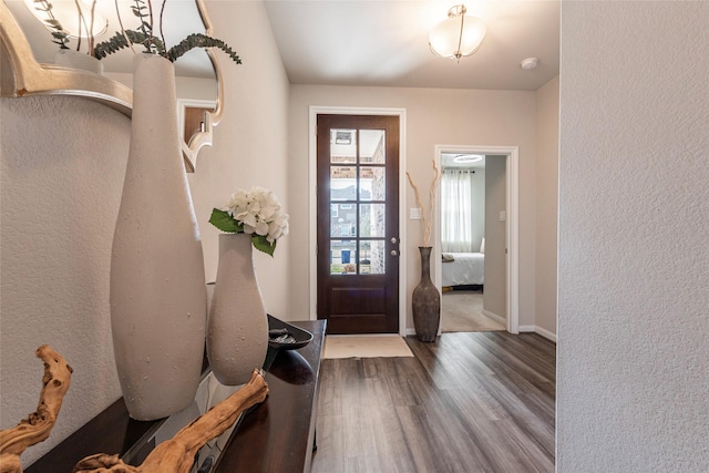 foyer with wood-type flooring