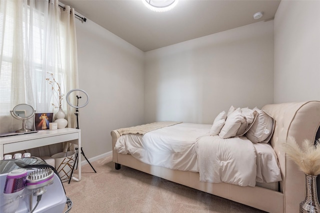 bedroom featuring multiple windows and light carpet