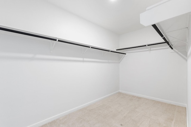 walk in closet featuring light carpet