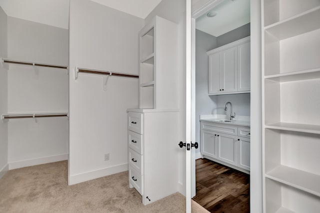 walk in closet with sink and light carpet