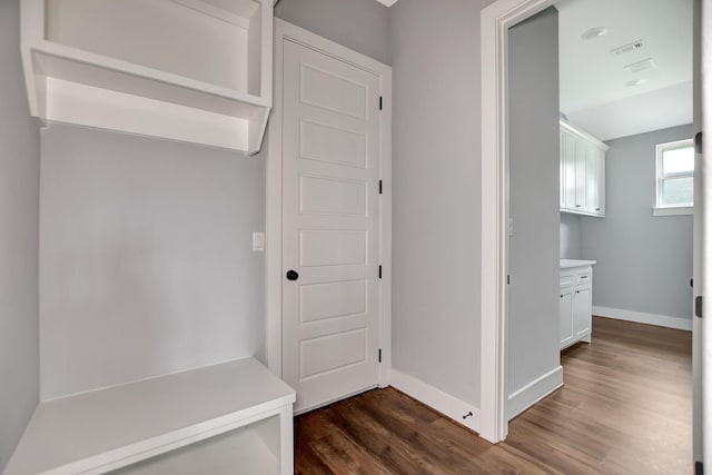 mudroom featuring dark wood-type flooring