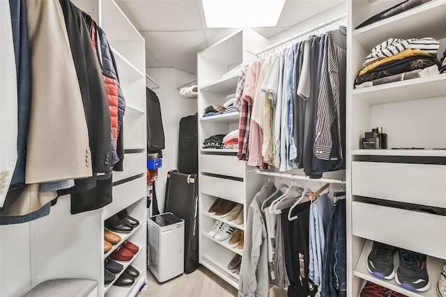 spacious closet featuring a drop ceiling