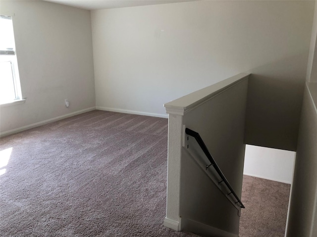 stairway with carpet flooring