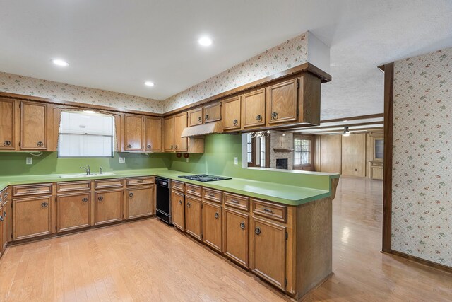 kitchen featuring sink, ceiling fan, black gas cooktop, light hardwood / wood-style floors, and a brick fireplace