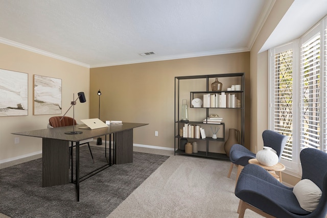 carpeted home office with crown molding and a textured ceiling