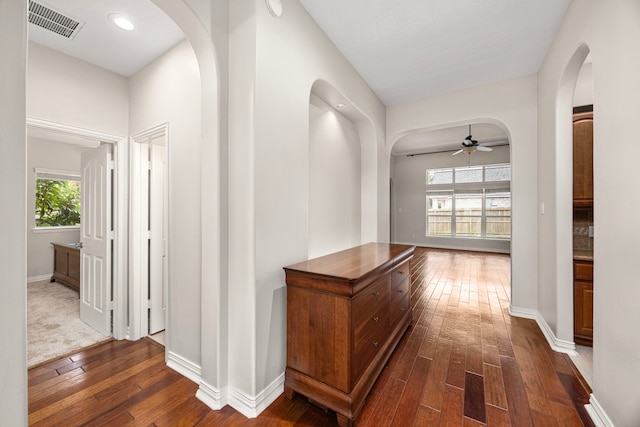 hall with dark hardwood / wood-style flooring and a wealth of natural light