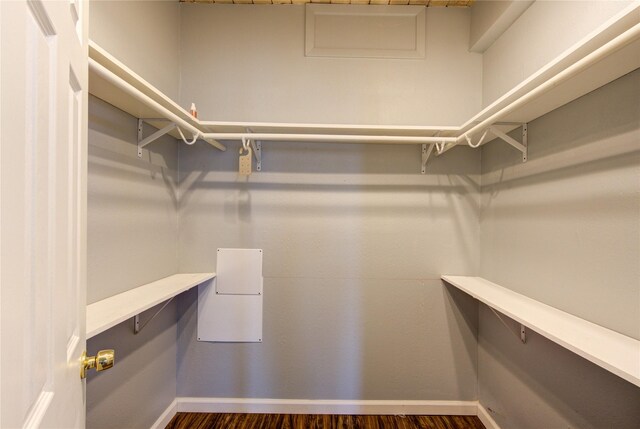 walk in closet featuring dark hardwood / wood-style flooring