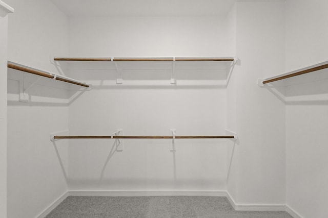 walk in closet featuring light colored carpet