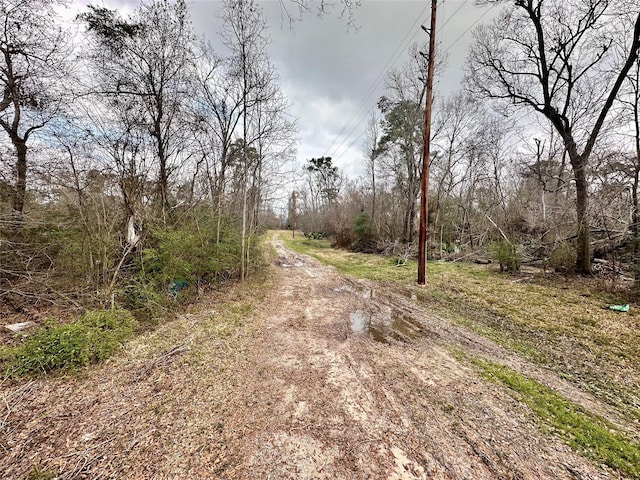 12202 Indian Oaks Ln, Houston, TX 77044