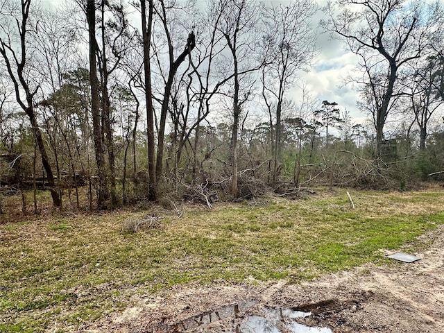 12202 Indian Oaks Ln, Houston, TX 77044