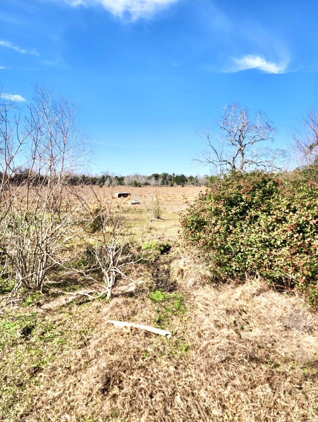 view of local wilderness with a rural view