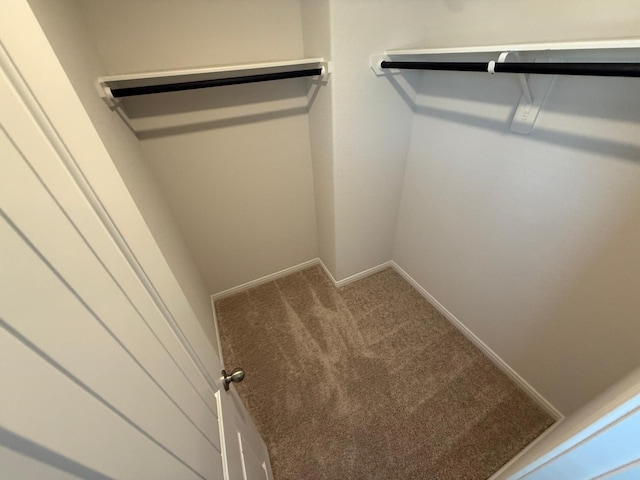 walk in closet with carpet