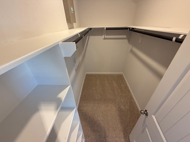 spacious closet with carpet flooring