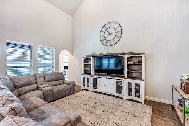 living room featuring wood-type flooring and high vaulted ceiling