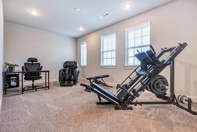 exercise area with carpet flooring