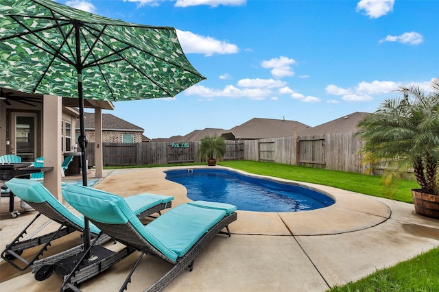 view of swimming pool with a patio area