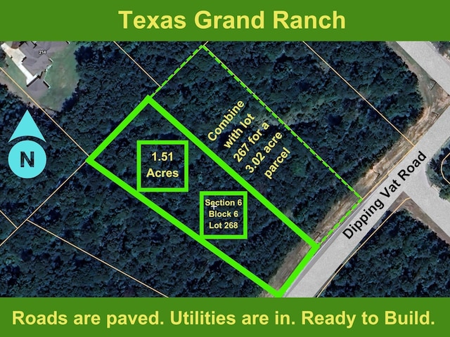 6-6-268 Dipping Vat Rd, New Waverly TX, 77358 land for sale