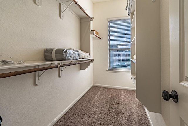 walk in closet with dark colored carpet