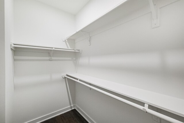 walk in closet featuring dark hardwood / wood-style flooring