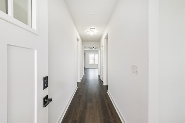 hallway featuring dark wood-type flooring