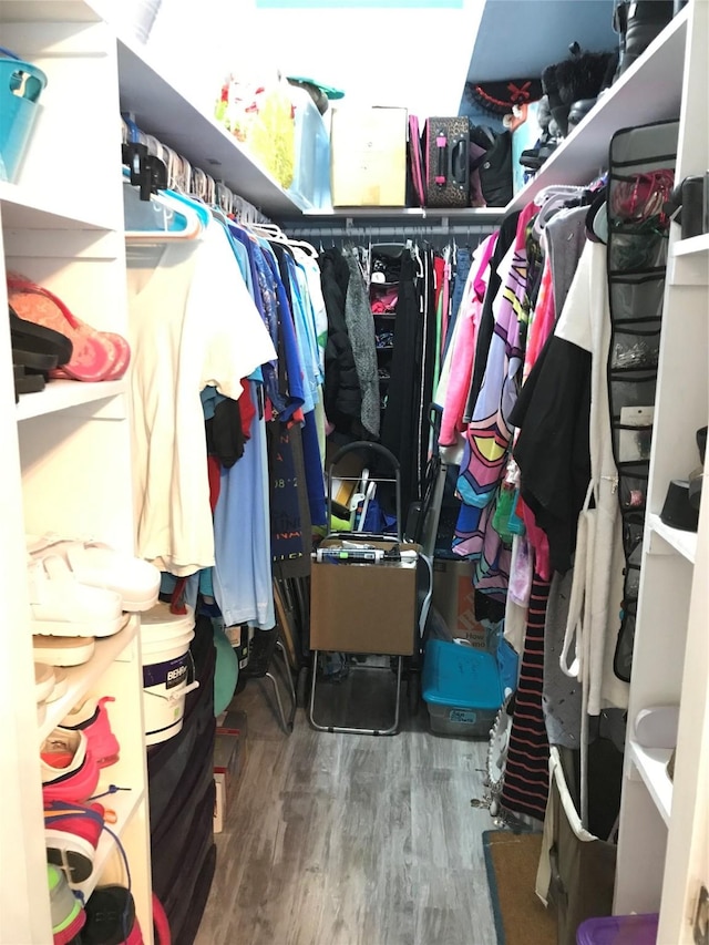 walk in closet with hardwood / wood-style flooring