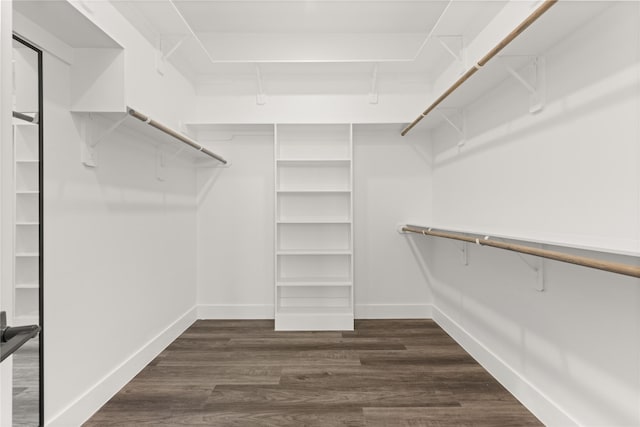 spacious closet featuring dark wood-type flooring