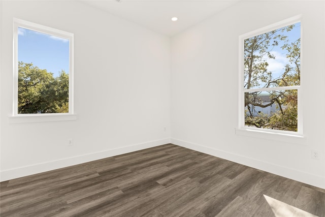 unfurnished room featuring dark hardwood / wood-style floors and a wealth of natural light