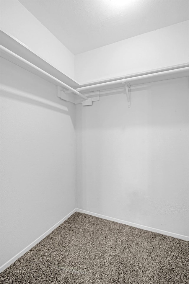 walk in closet featuring carpet flooring