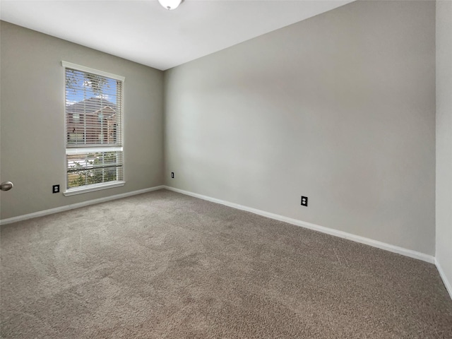 empty room featuring carpet