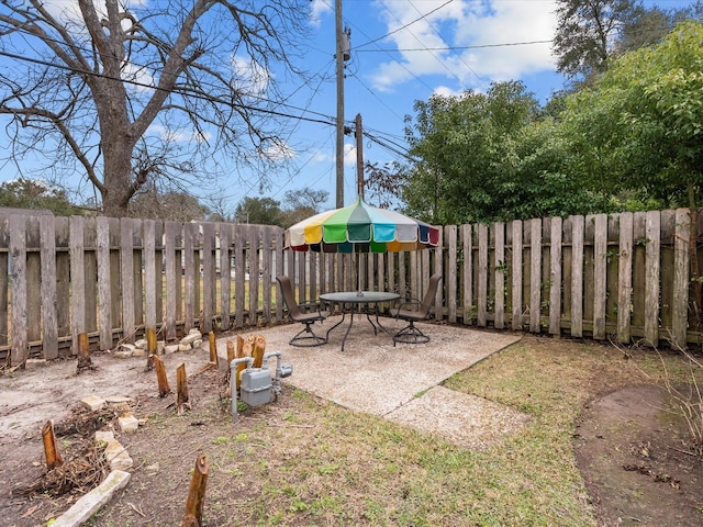 view of yard featuring a patio area and a fenced backyard