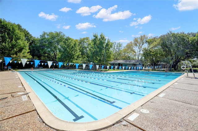 view of swimming pool