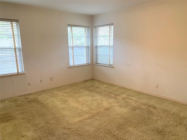 spare room with light carpet