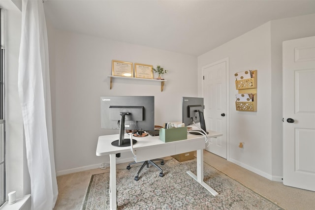 office space featuring carpet and baseboards