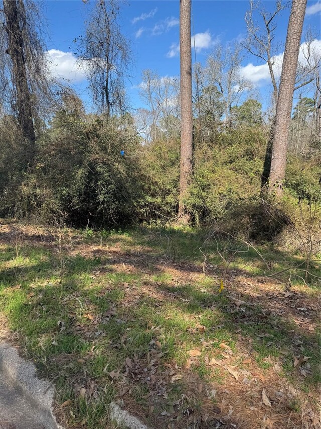 1800 Green Way Dr, Huntsville, TX 77340