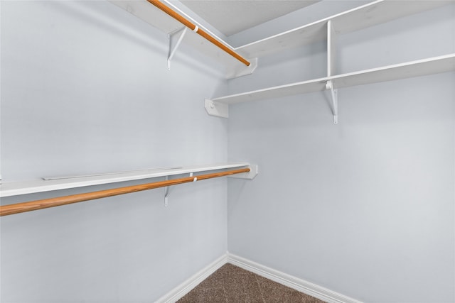 spacious closet featuring carpet floors