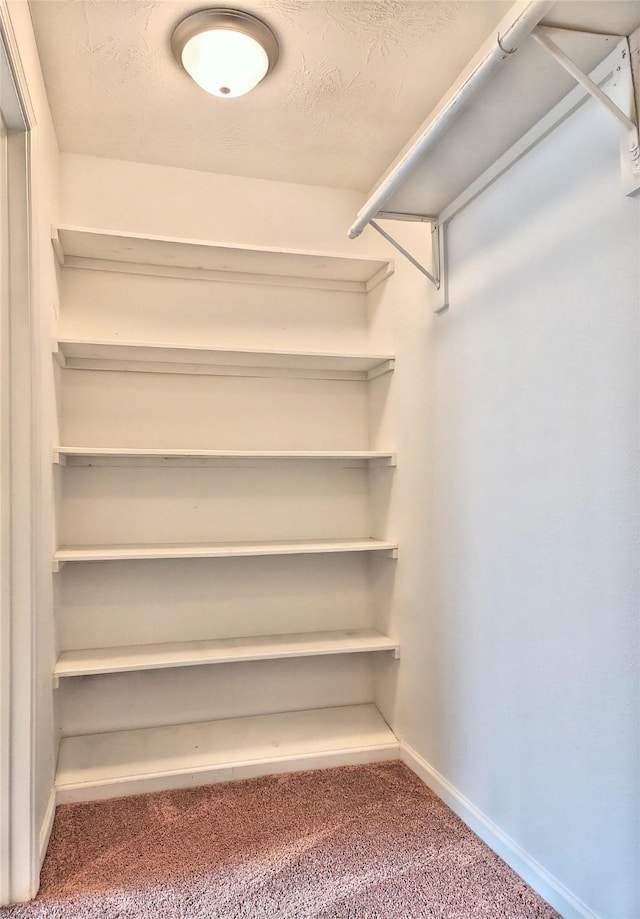 walk in closet with carpet floors