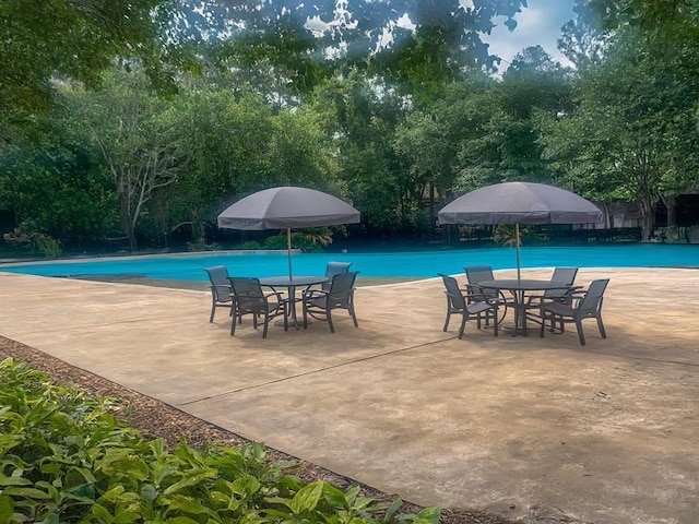 view of swimming pool with a patio