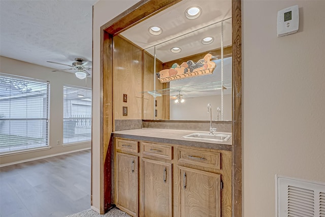 bathroom with vanity, wood finished floors, a ceiling fan, and visible vents