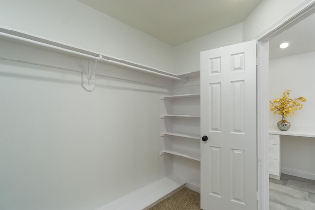 view of spacious closet