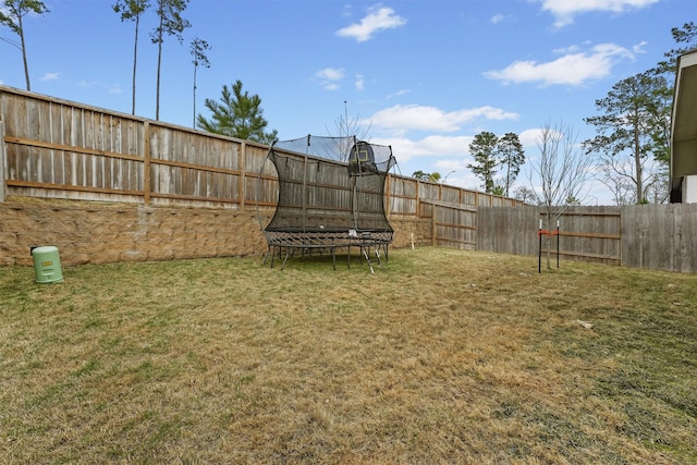 view of yard with a trampoline