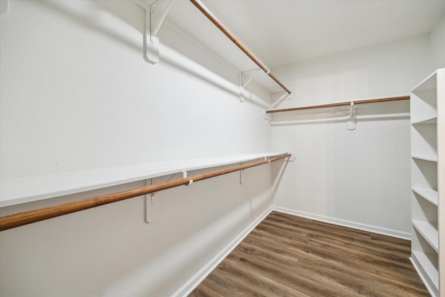 spacious closet featuring dark hardwood / wood-style flooring