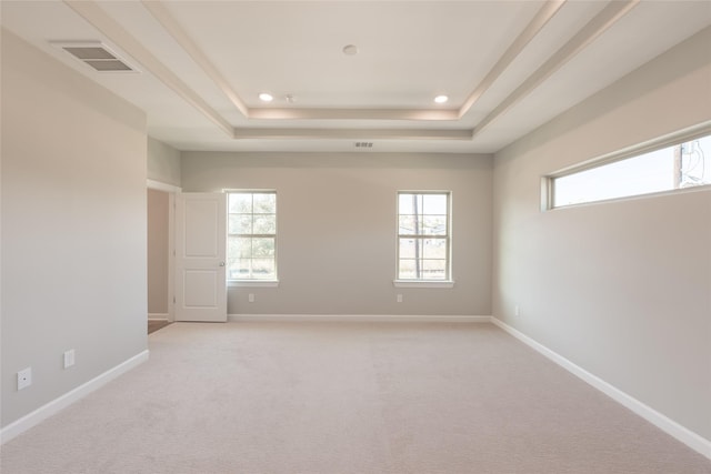 spare room featuring a raised ceiling and light carpet