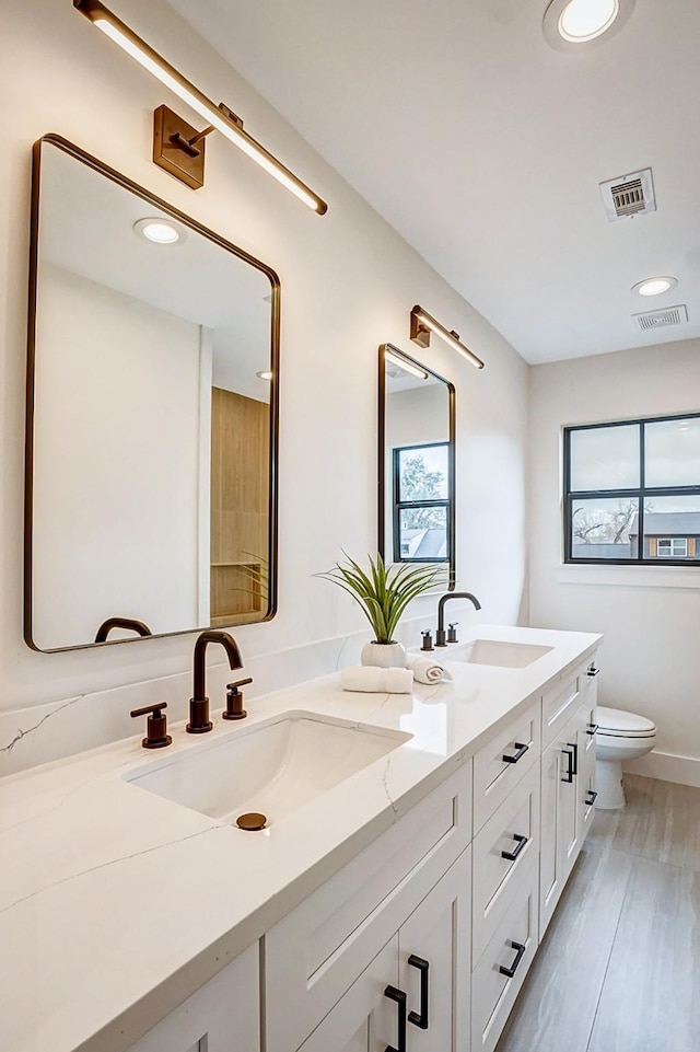 bathroom with vanity, wood-type flooring, and toilet