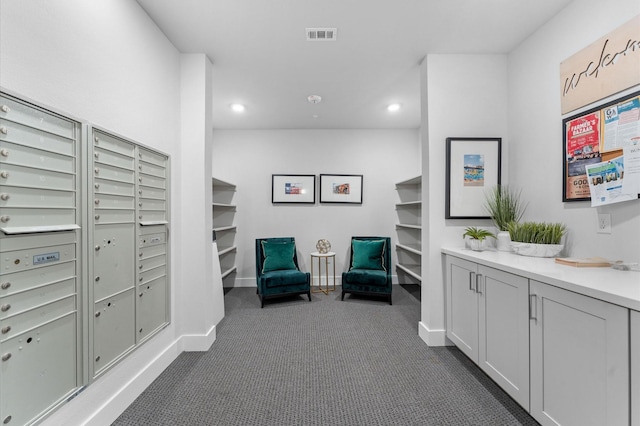 interior space with dark carpet and a mail area