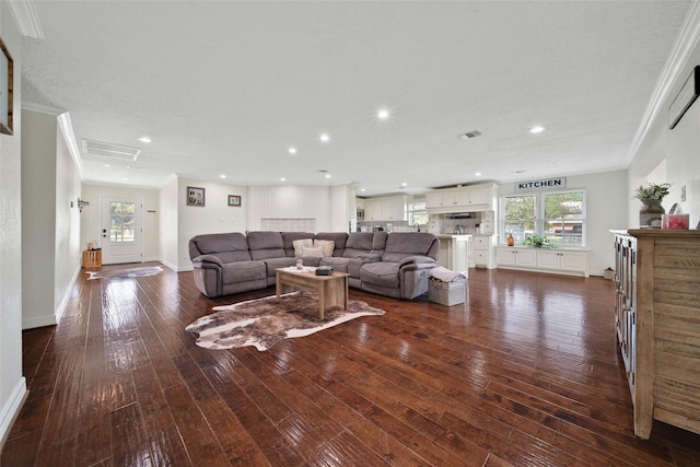 living room featuring ornamental molding and dark wood-type flooring