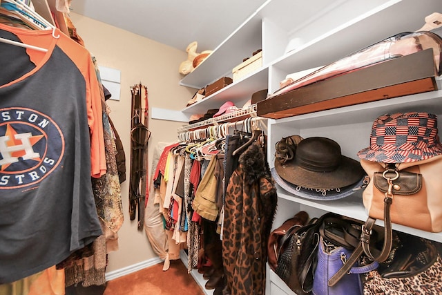 view of spacious closet